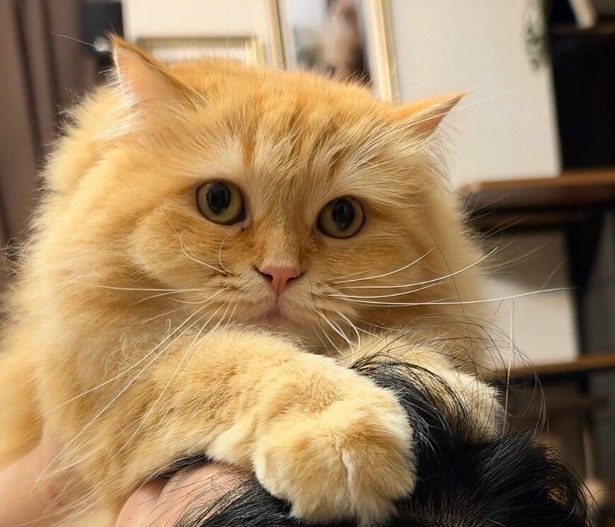 エマちゃんの表情をクローズアップ