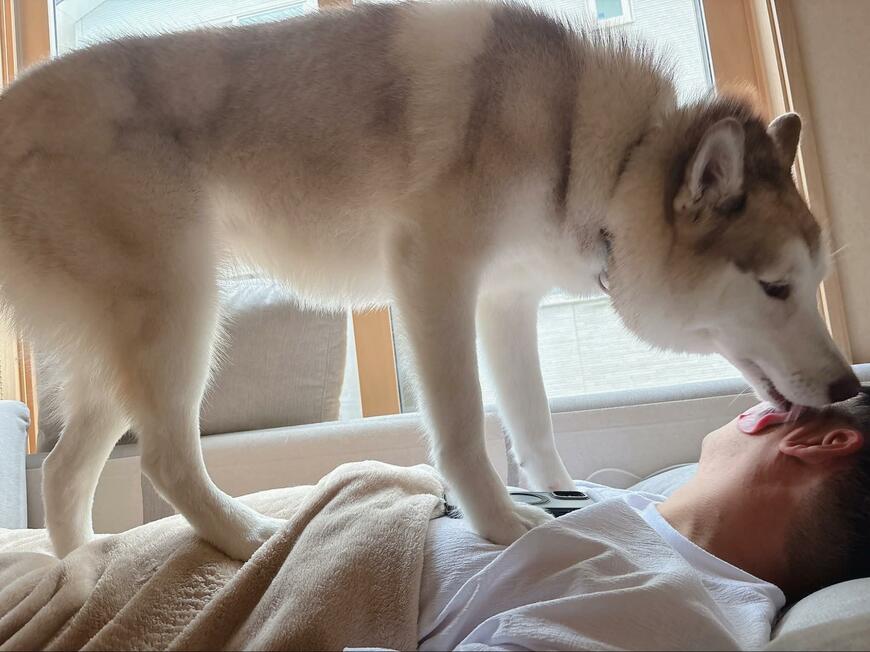 投稿の画像