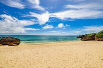 【日本最西端】与那国島で撮影された「美しい夕日」　一緒に黄昏れる「まさかの生き物」に思わず目を疑う