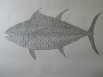 イワシの群れで大きなクロマグロを描いたアート作品　魚の目にこだわった仕上がりに「バケモンだ」