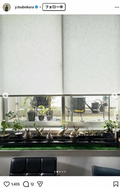 坪倉由幸のInstagram投稿