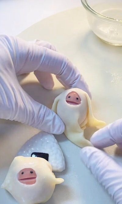 投稿動画のワンシーン