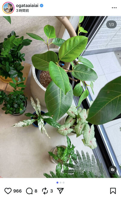 尾形あいさんのInstagram投稿