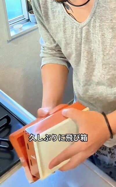 投稿動画のワンシーン