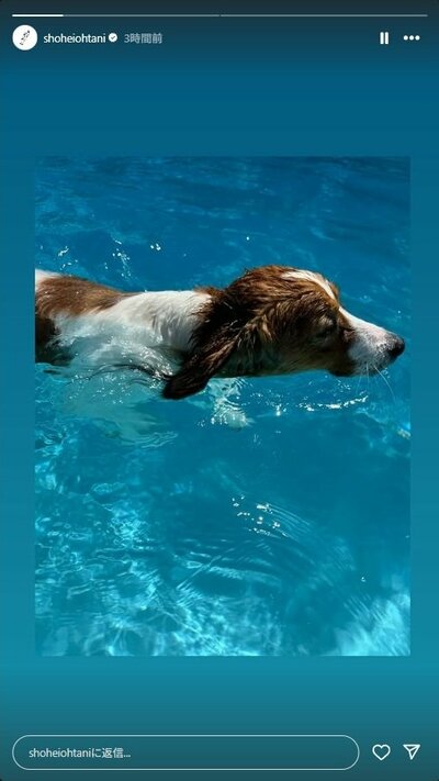 大谷翔平のInstagramストーリーズ投稿