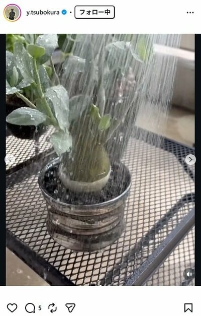 坪倉由幸のInstagram投稿