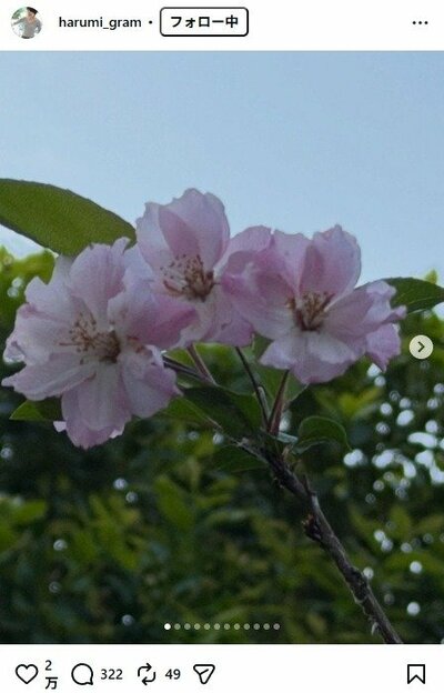 栗原はるみのInstagram投稿