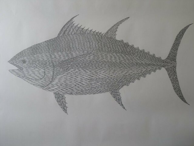 イワシの群れで大きなクロマグロを描いたアート作品 魚の目にこだわった仕上がりに「バケモンだ」