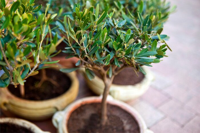 JacquesPALUT/istockphoto.com