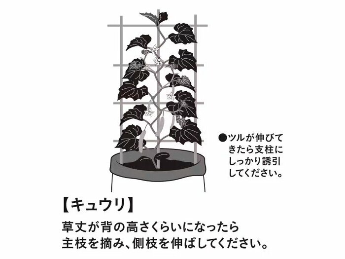 先送りにしていた方も、これなら気が乗るかもしれませんね