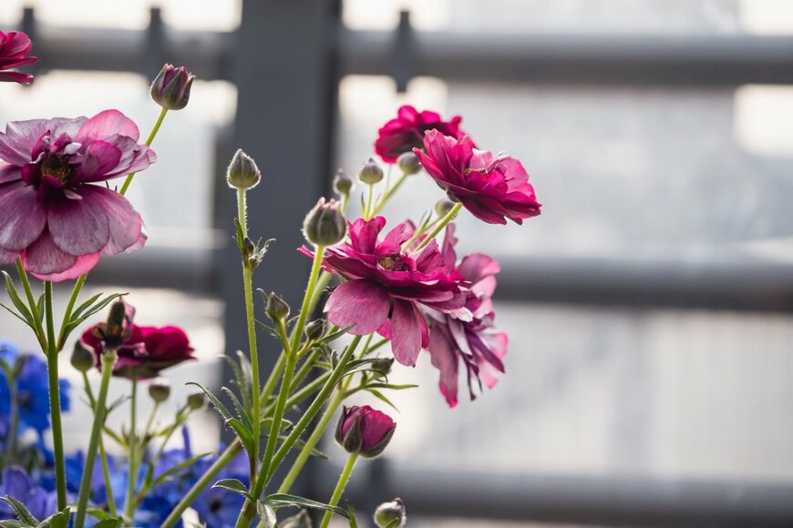 yukimco/shutterstock.com