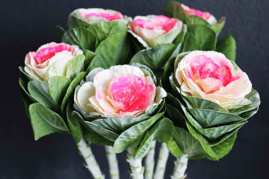 Totokzww/shutterstock.com