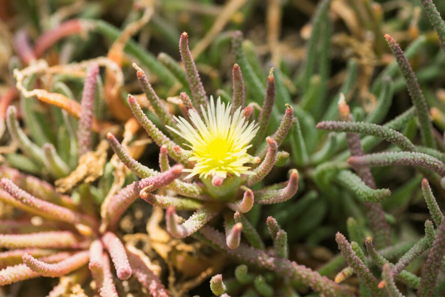 shihina/shutterstock.com