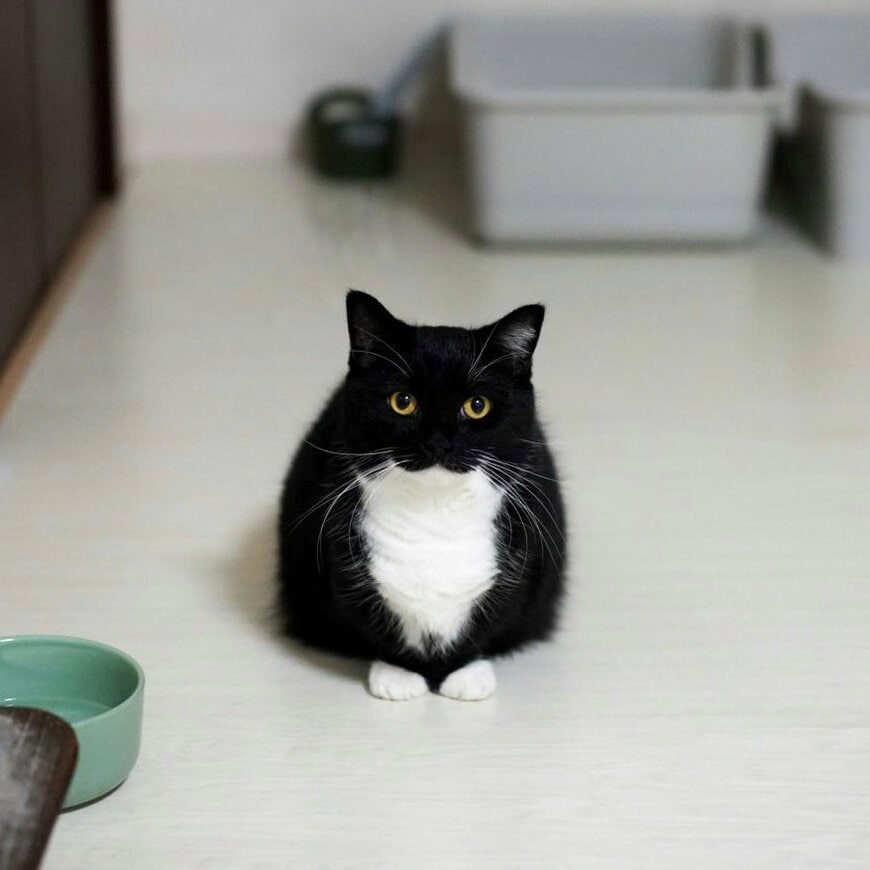 出所：＠unicouniuni3