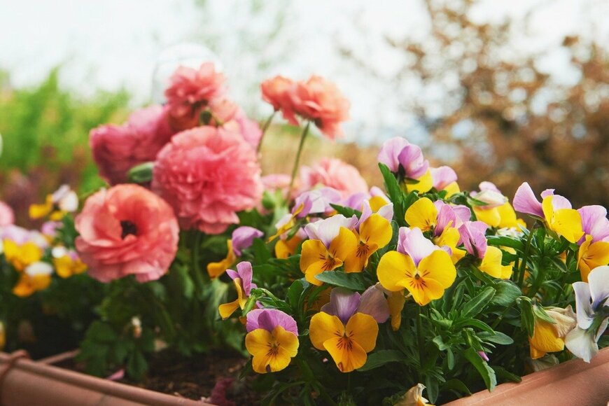 AnnaNahabed/istockphoto.com