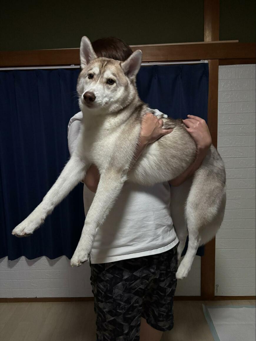 出所：@At_sign_0510