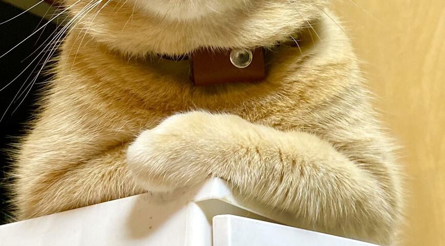 出所：@luna7taka9