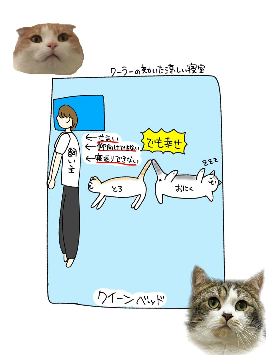 出所：@torotolo106106