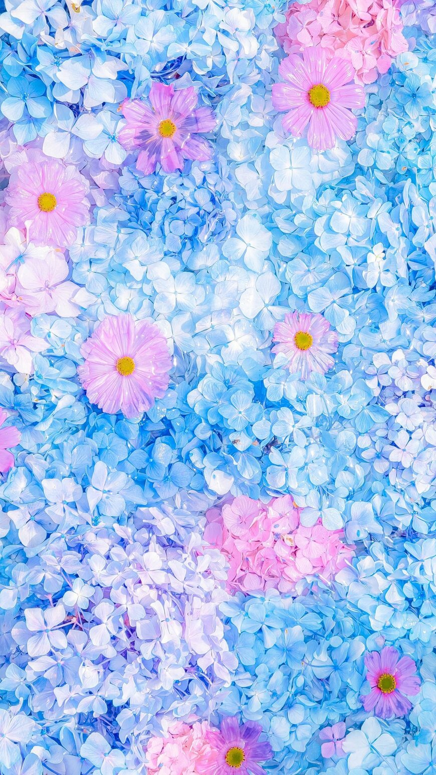 出所：@Sorani___Ao