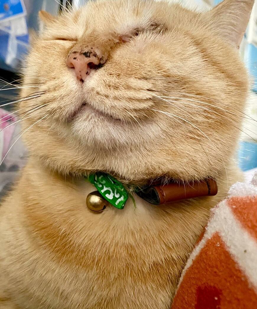 出所：@luna7taka9