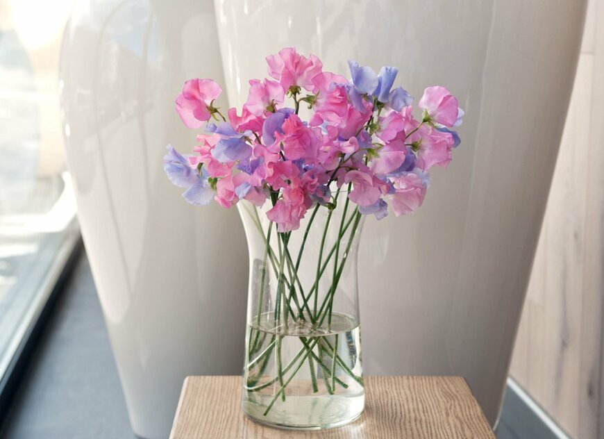 Olena Antonenko/shutterstock.com