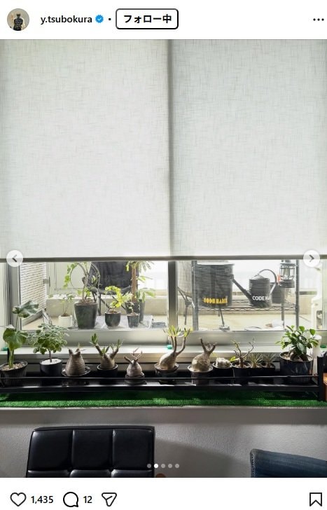 出所：坪倉由幸のInstagram（＠y.tsubokura）参照日：2025年11月7日
