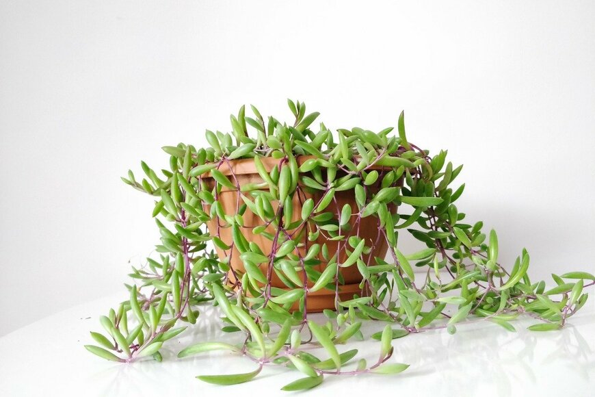 yuqian liu/istockphoto.com