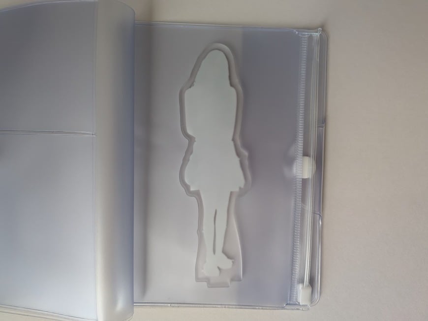 筆者撮影（ダイソー 保険証・お薬手帳カバー）