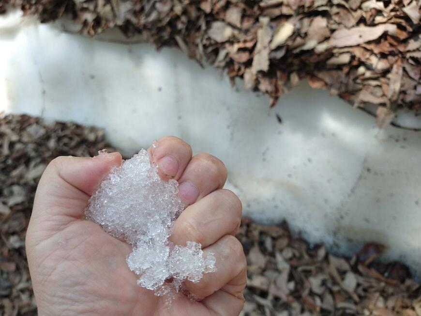 出所：@suzu_kinokobook