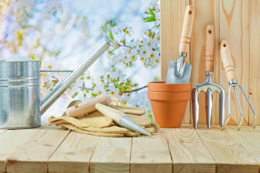 mihalec/istockphoto.com