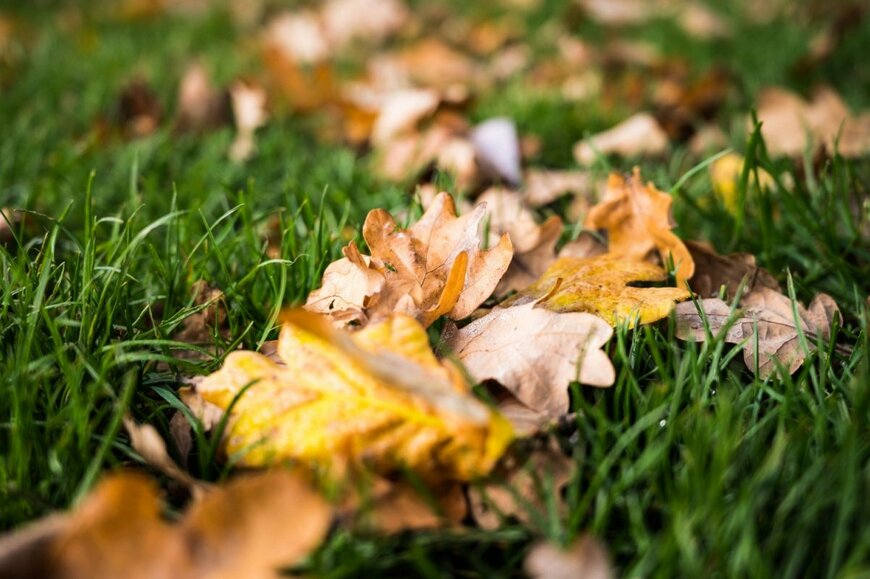 Wirestock Creators/shutterstock.com