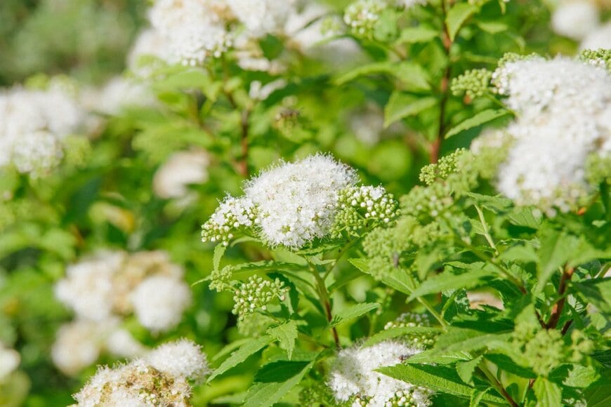 Sirle Kabanen/shutterstock.com