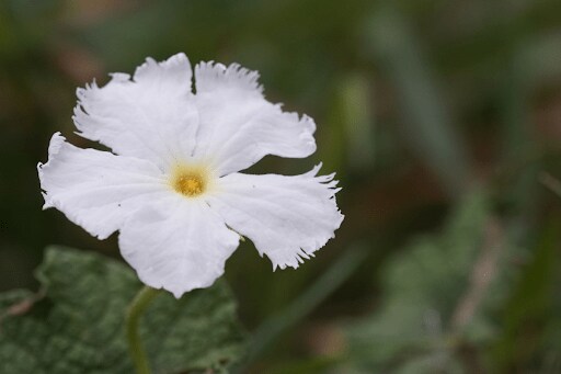 Doikanoy/shutterstock.com