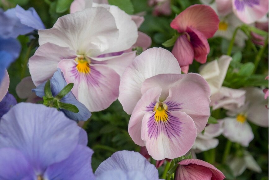 bagapo/istockphoto.com