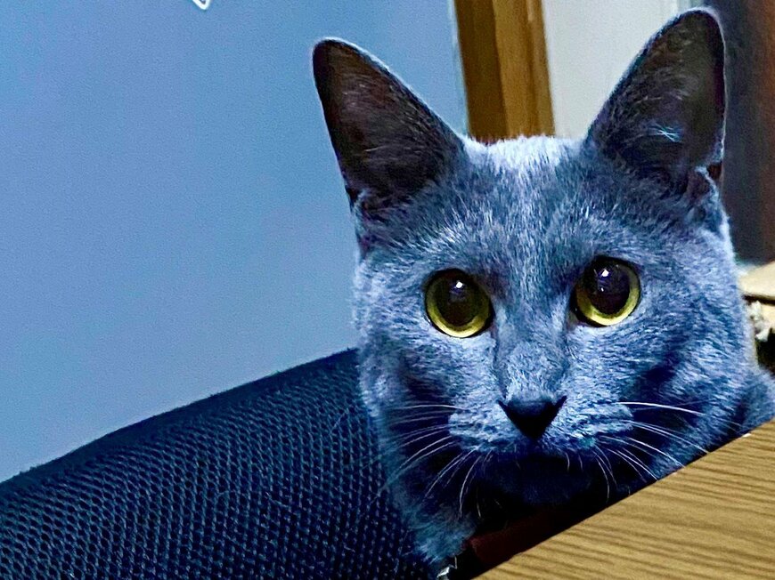 出所：@luna7taka9