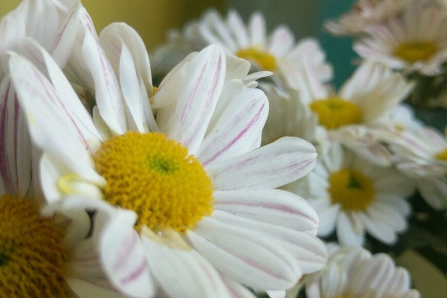 rachmad syaiful/shutterstock.com