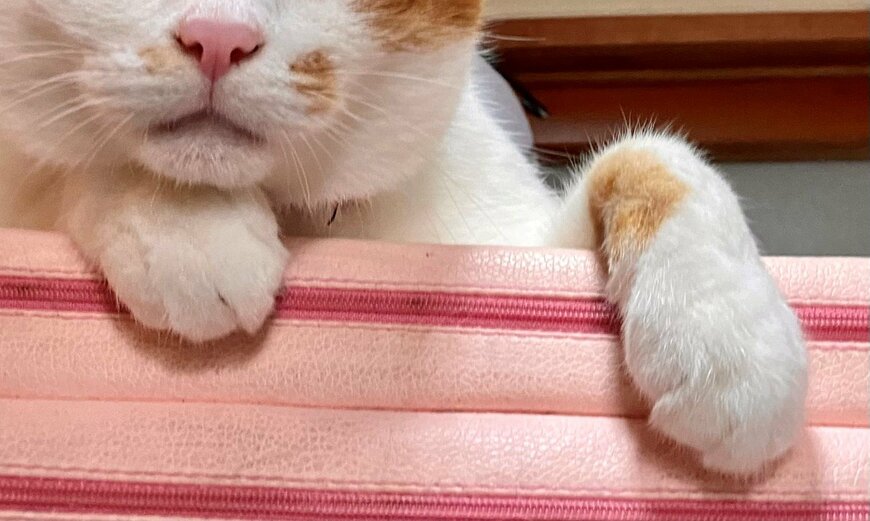 出所：@luna7taka9