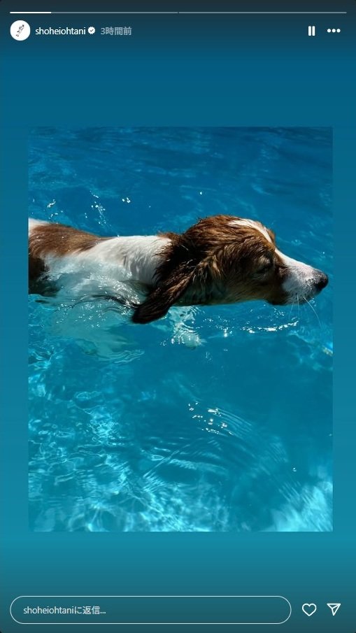 出所：大谷翔平のInstagramストーリーズ（＠shoheiohtani）参照日：2025年7月1日