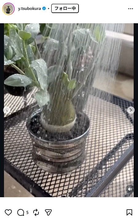 出所：坪倉由幸のInstagram（＠y.tsubokura） 参照日：2026年4月23日