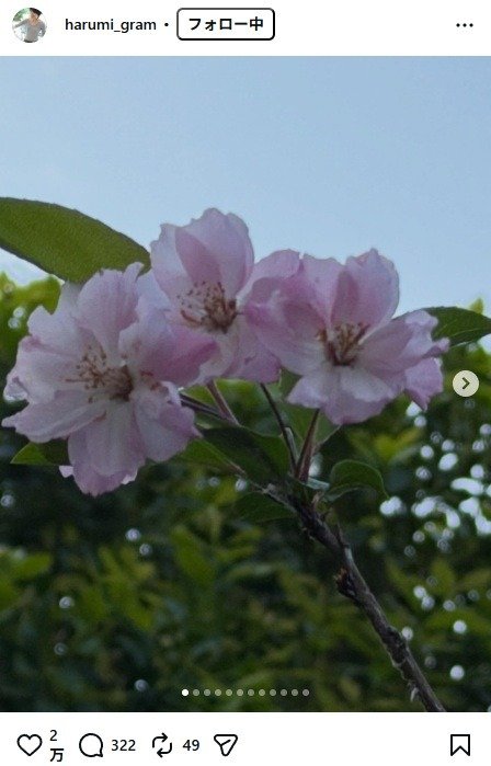 出所：栗原はるみのInstagram（＠harumi_gram）　参照日：2026年4月16日