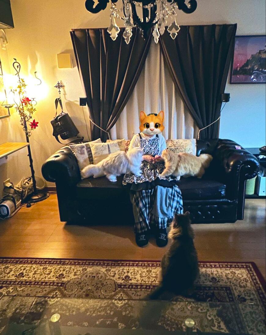 出所：@NEKOLAND13