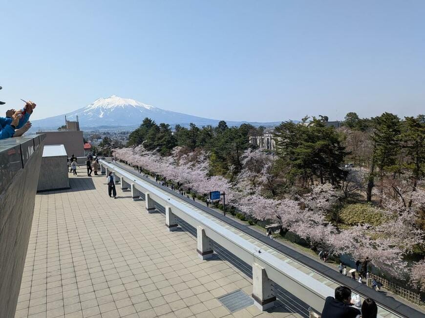 投稿の画像