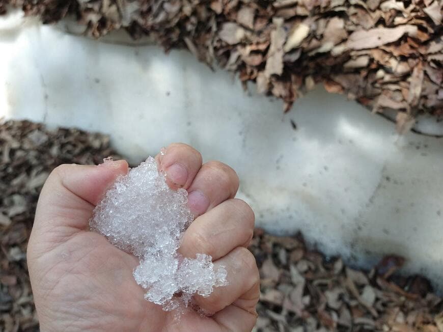 山奥で発見した雪