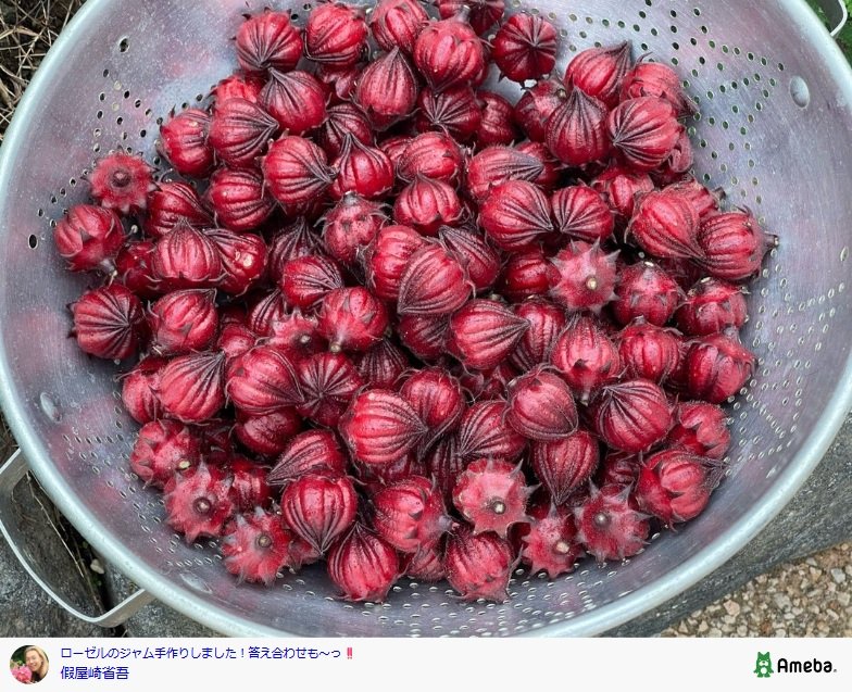 假屋崎省吾のAmebaブログ投稿