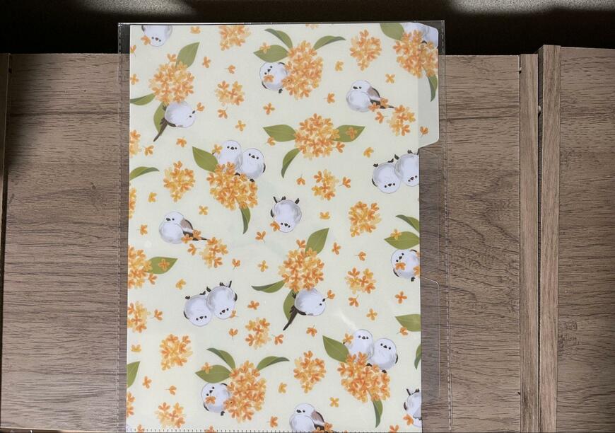 キャンドゥ、02KSA4クリアホルダー3ポケット画像