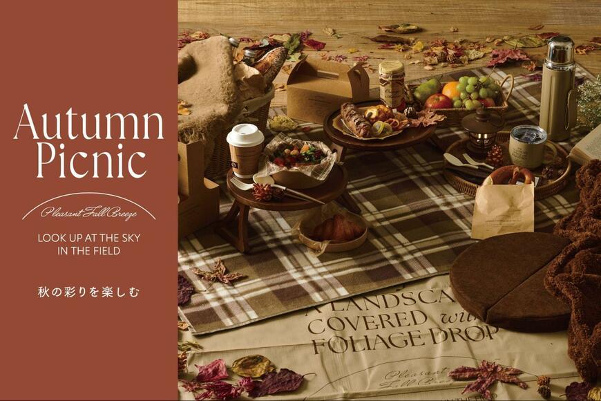 3COINS 秋のピクニックアイテム