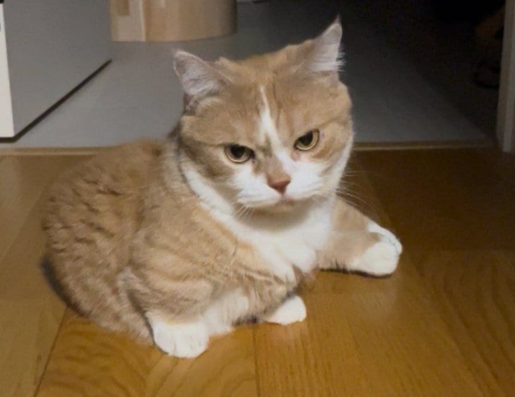 ねじれてます&hellip;