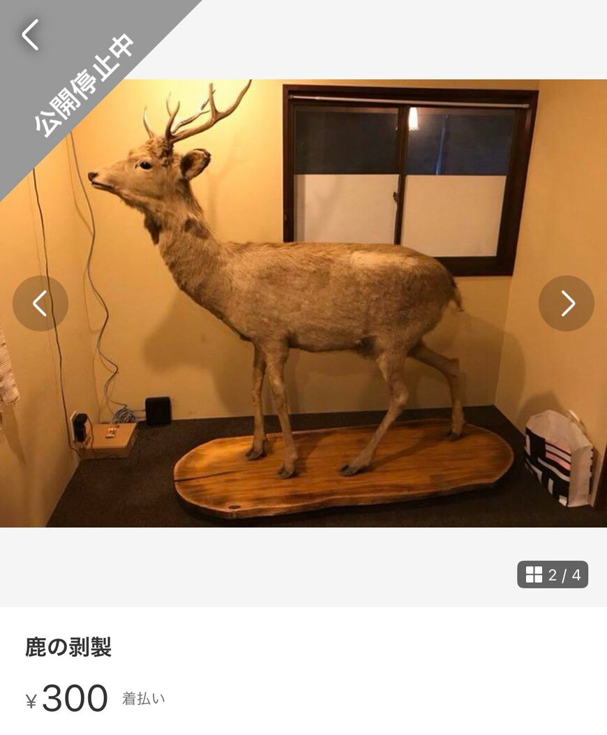 売りに出した鹿のはく製