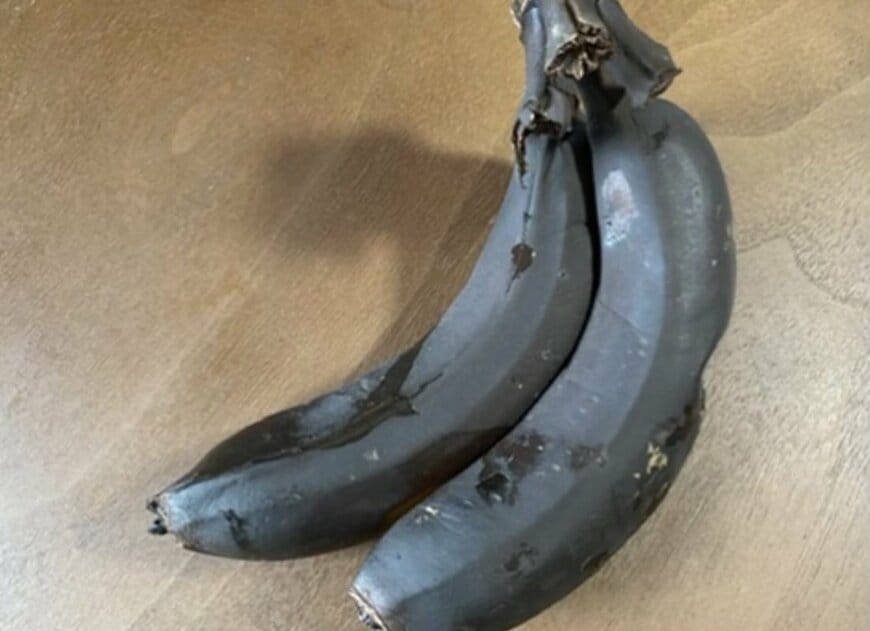 投稿の画像