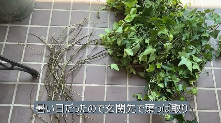 ワイヤーかごのビフォー。まだアイビーの蔓を巻きつける前の状態です